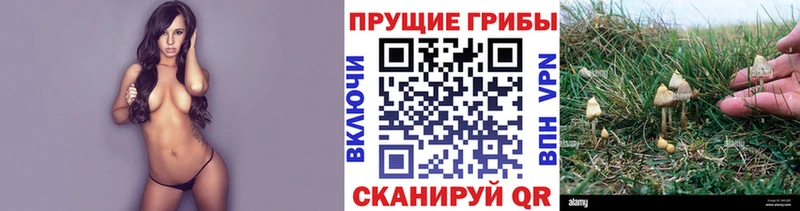 Галлюциногенные грибы ЛСД Ладушкин